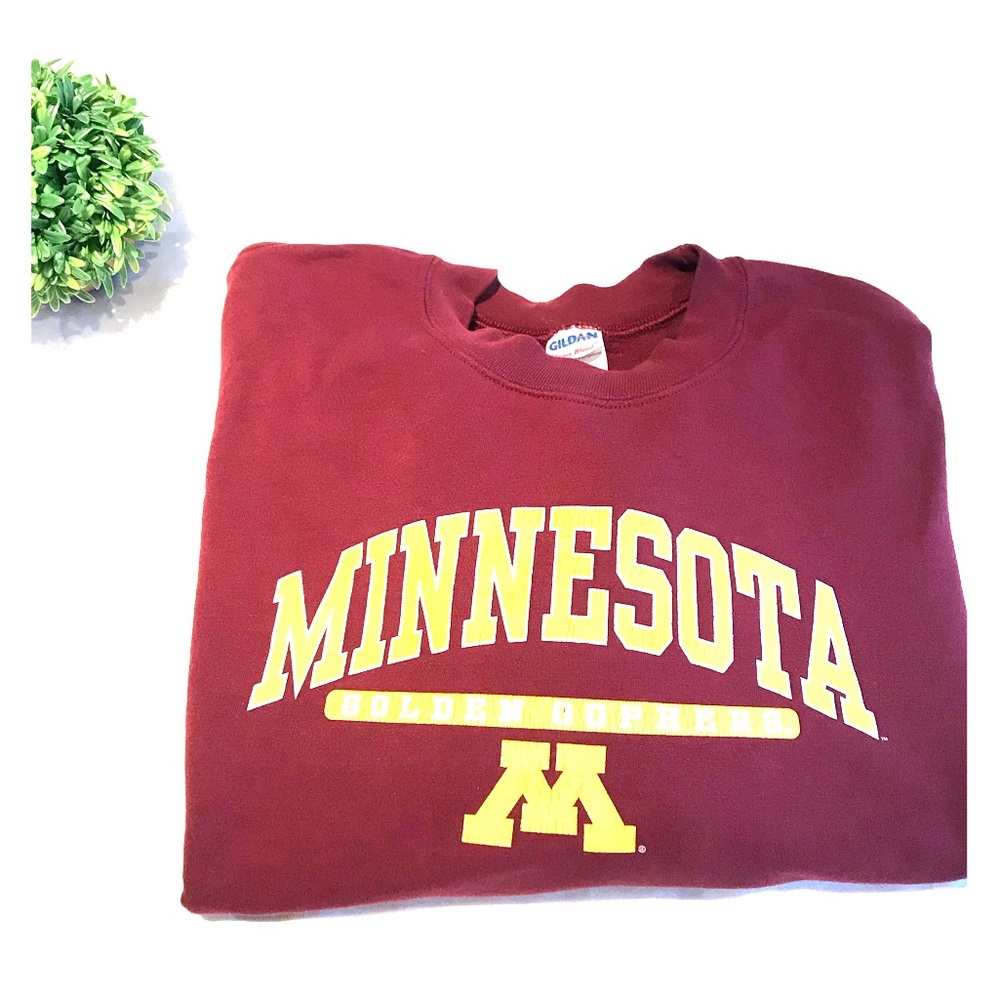 ✨MN GOPHER HOODIE✨